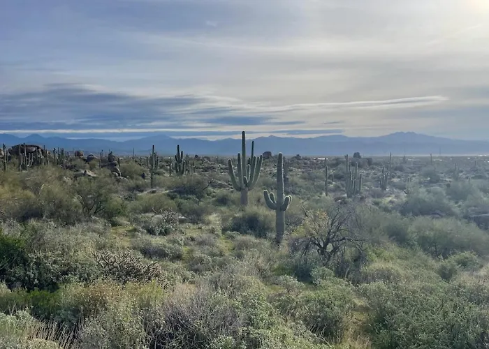 Holiday home Desert Pool/spa/pickleball/families